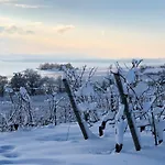 Casa Viola Bodenseeblick Appartement Stetten (Bodensee)