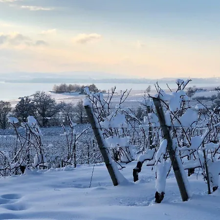 Casa Viola Bodenseeblick アパート シュテッテン
