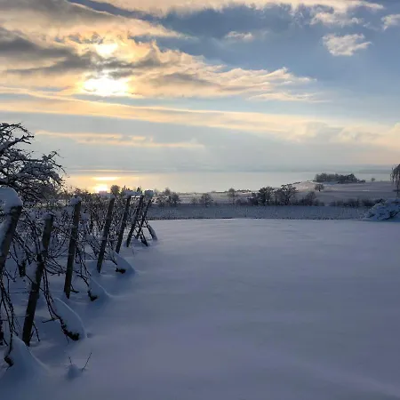 Casa Viola Bodenseeblick * シュテッテン