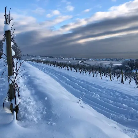 Casa Viola Bodenseeblick *