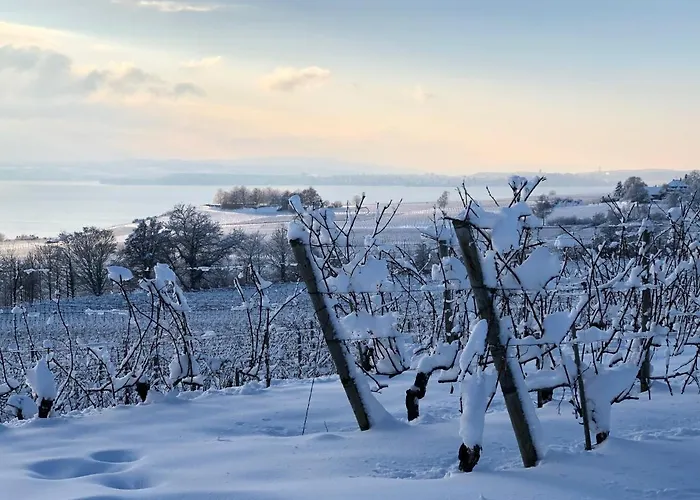 Casa Viola Bodenseeblick Lägenhet Stetten (Bodensee)