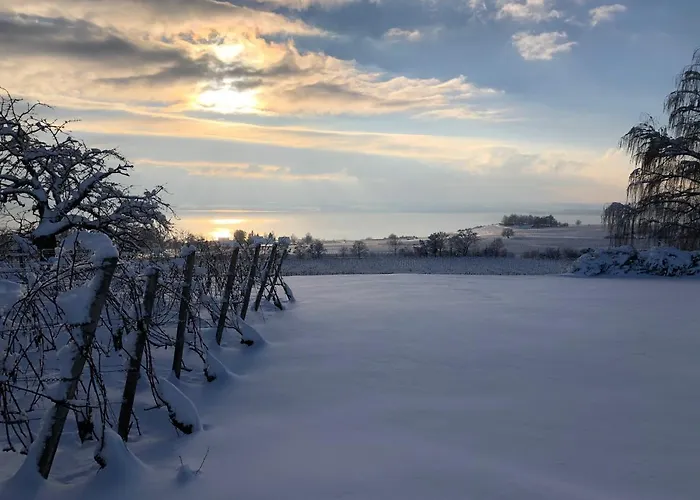 Casa Viola Bodenseeblick * Stetten (Bodensee)