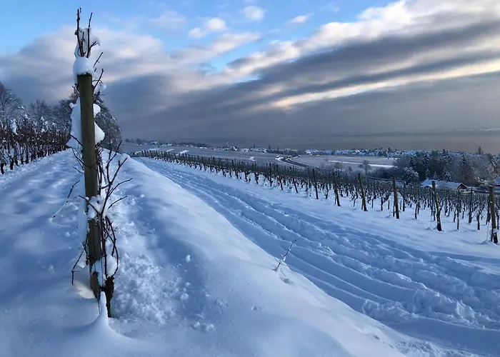Casa Viola Bodenseeblick *